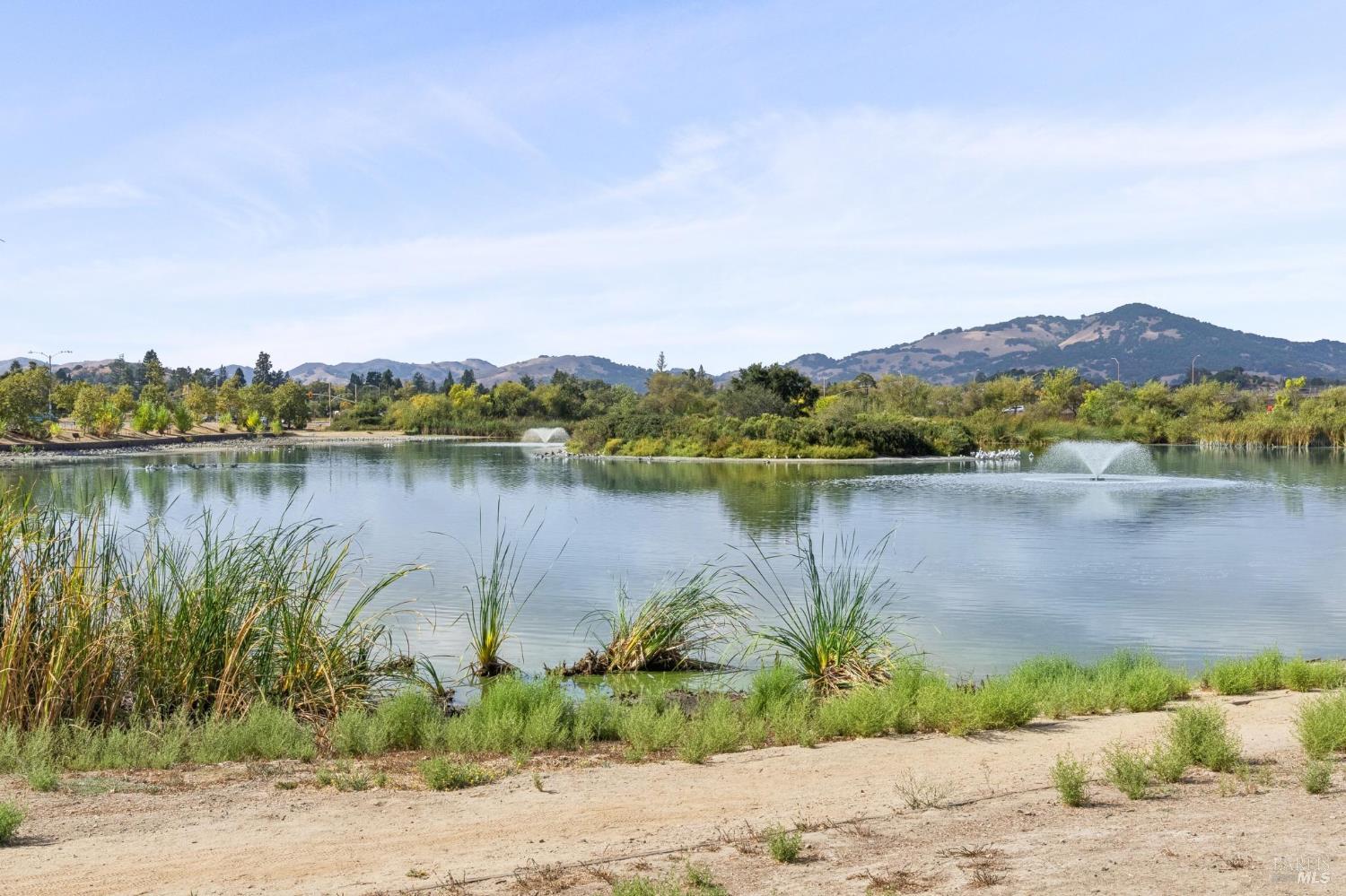 1263 Valley Oak Court Novato CA 94947