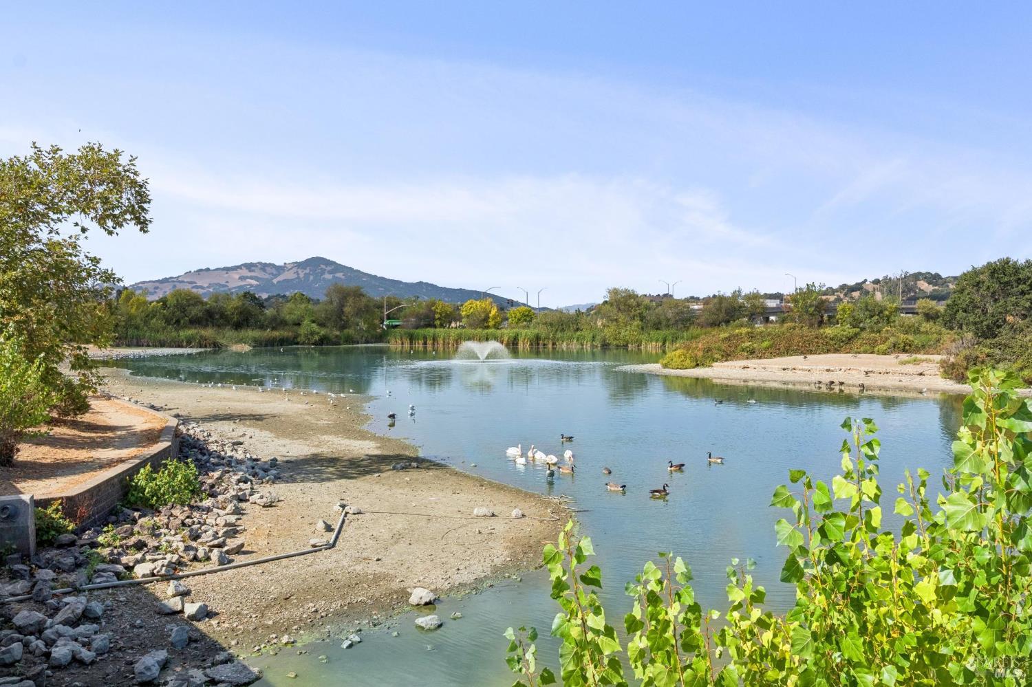 1263 Valley Oak Court Novato CA 94947