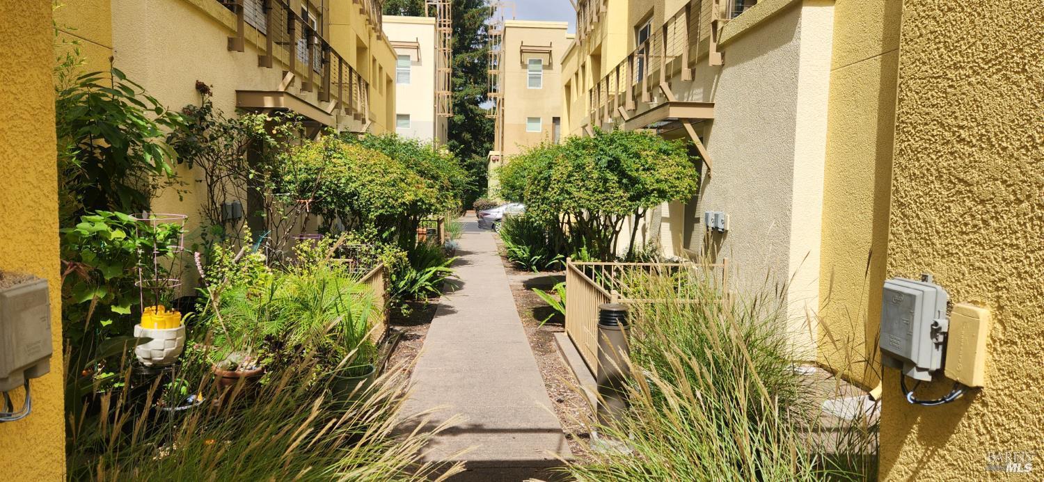 318 City Center Drive Rohnert Park CA 94928
