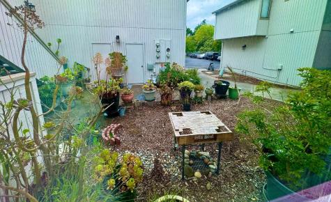 2528 Westberry Drive Santa Rosa CA 95403