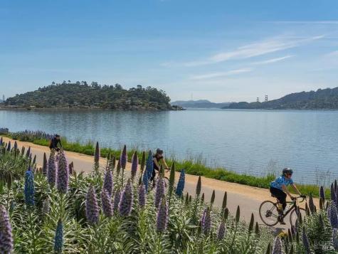 121 Red Hill Circle Tiburon CA 94920