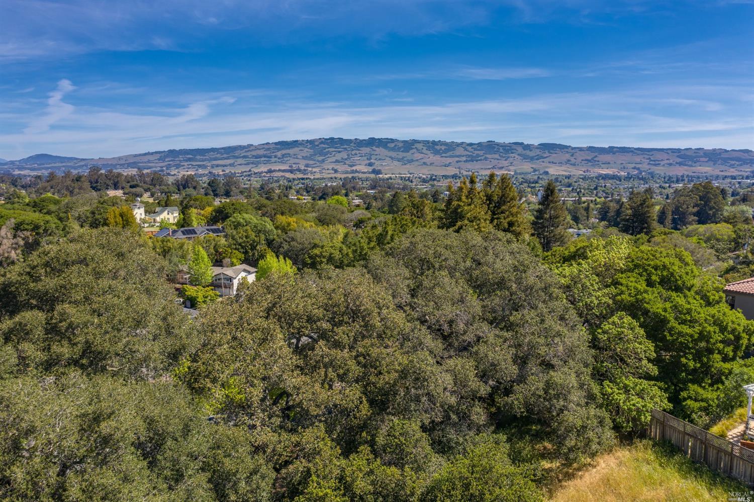 509 Larch Drive Petaluma CA 94952