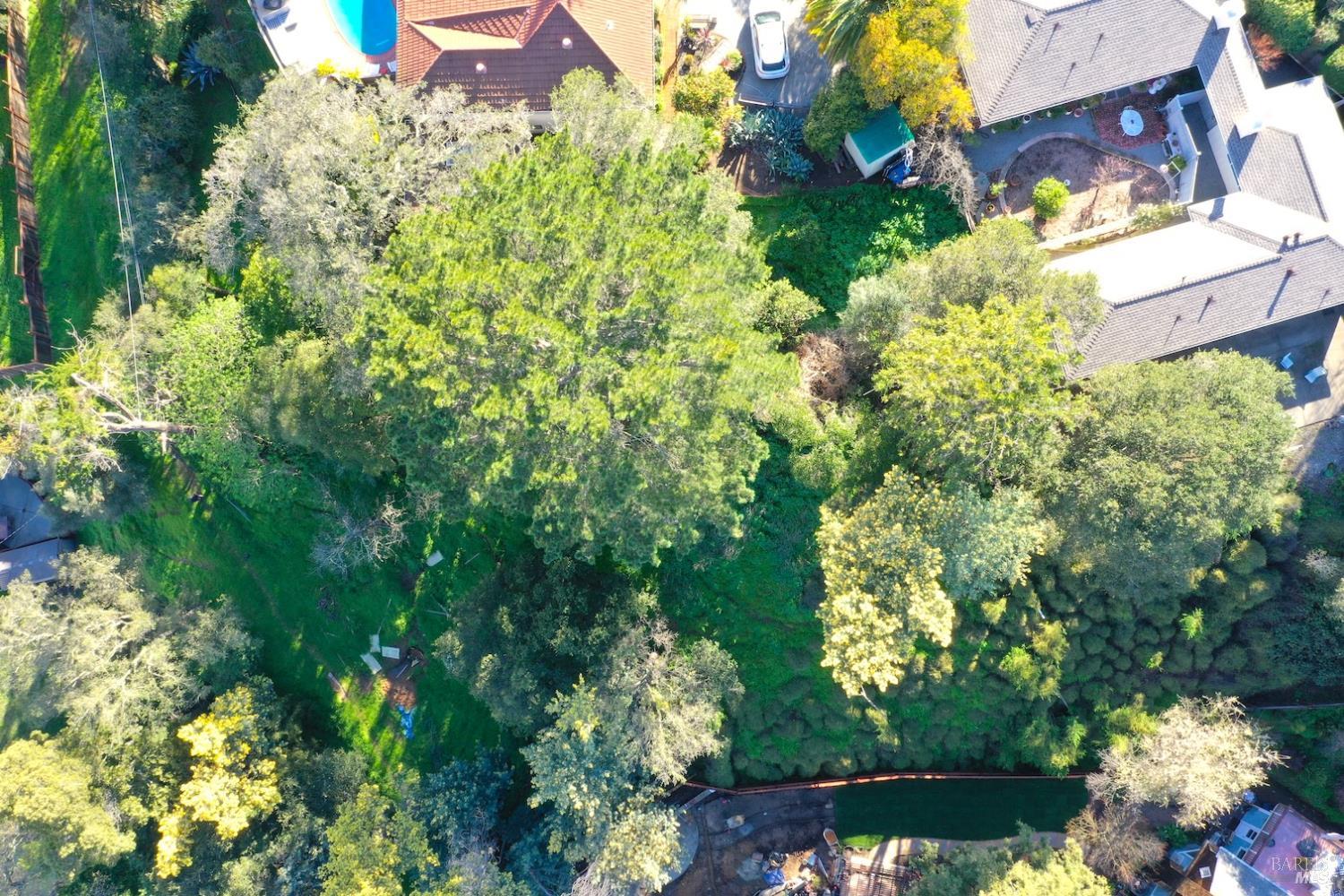 59-60 Clayton Street San Rafael CA 94901