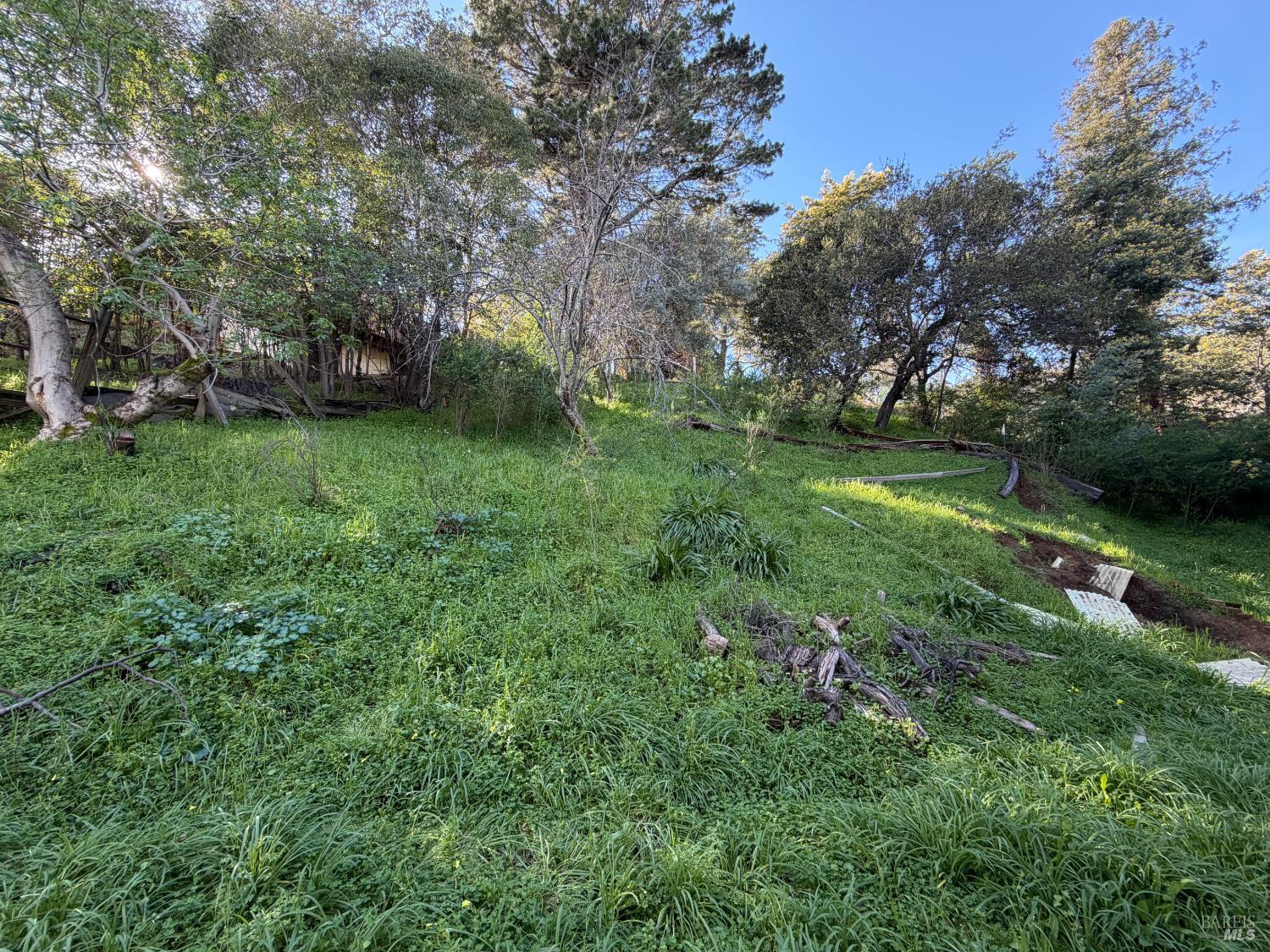 59-60 Clayton Street San Rafael CA 94901