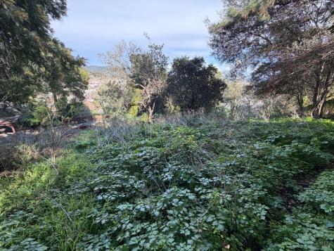 59-60 Clayton Street San Rafael CA 94901