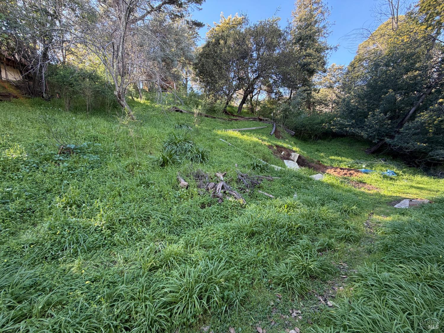 59-60 Clayton Street San Rafael CA 94901