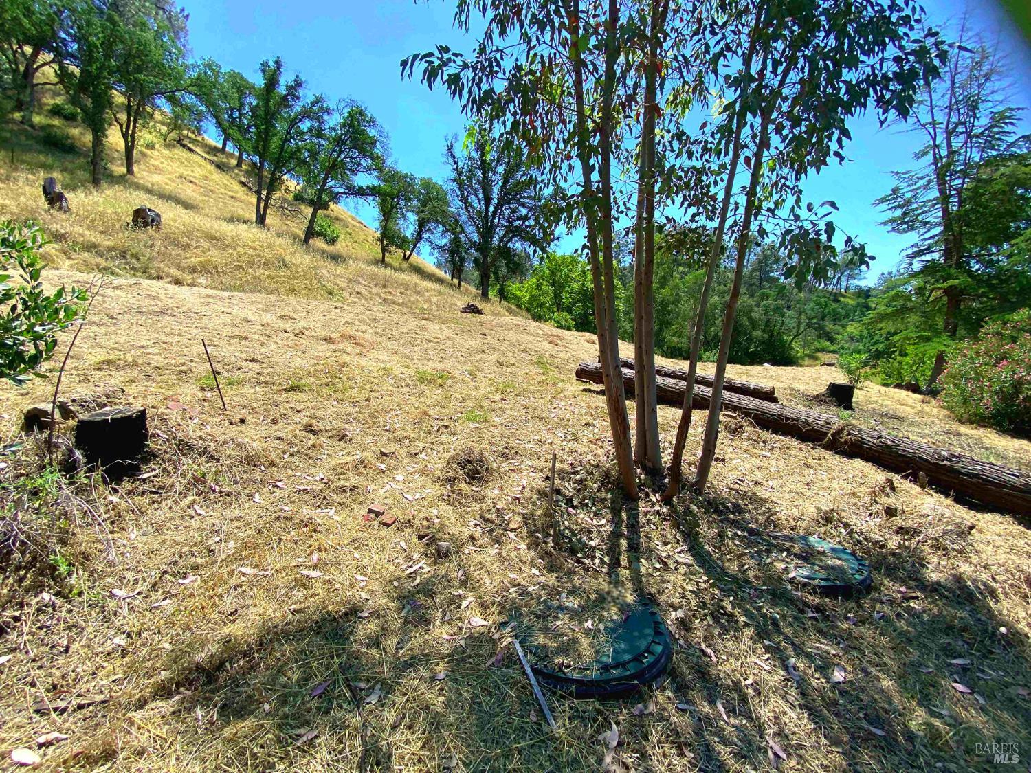 3786 Putah Creek Road Winters CA 95694