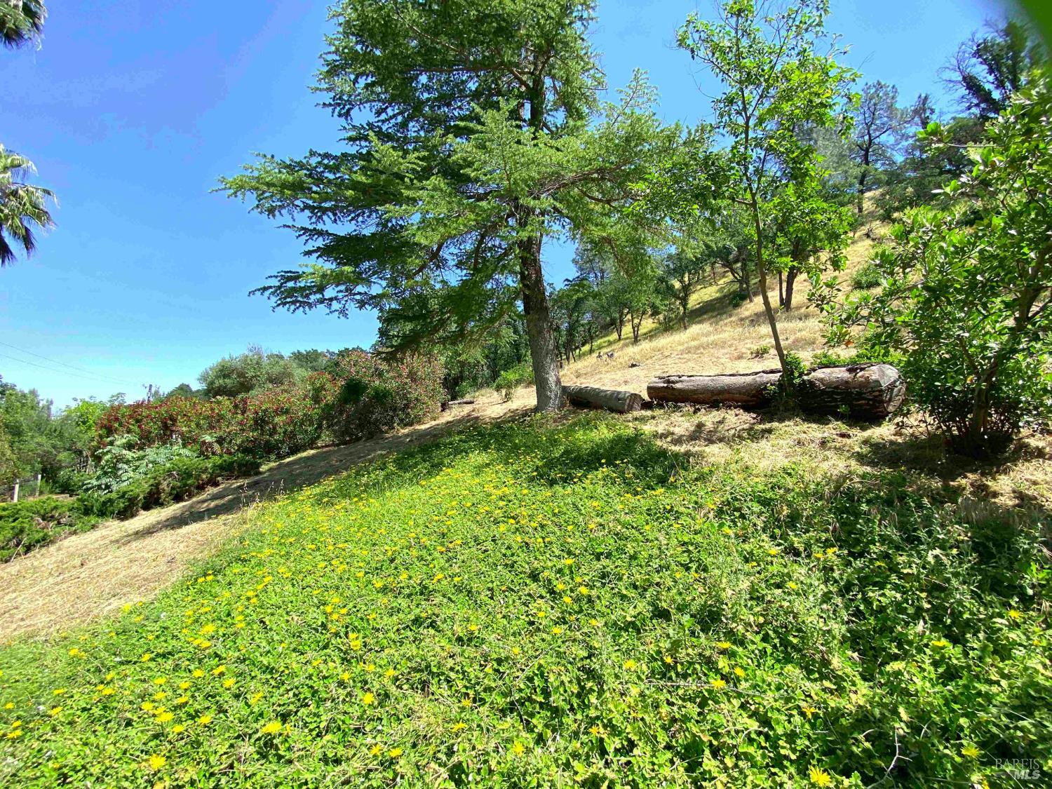 3786 Putah Creek Road Winters CA 95694