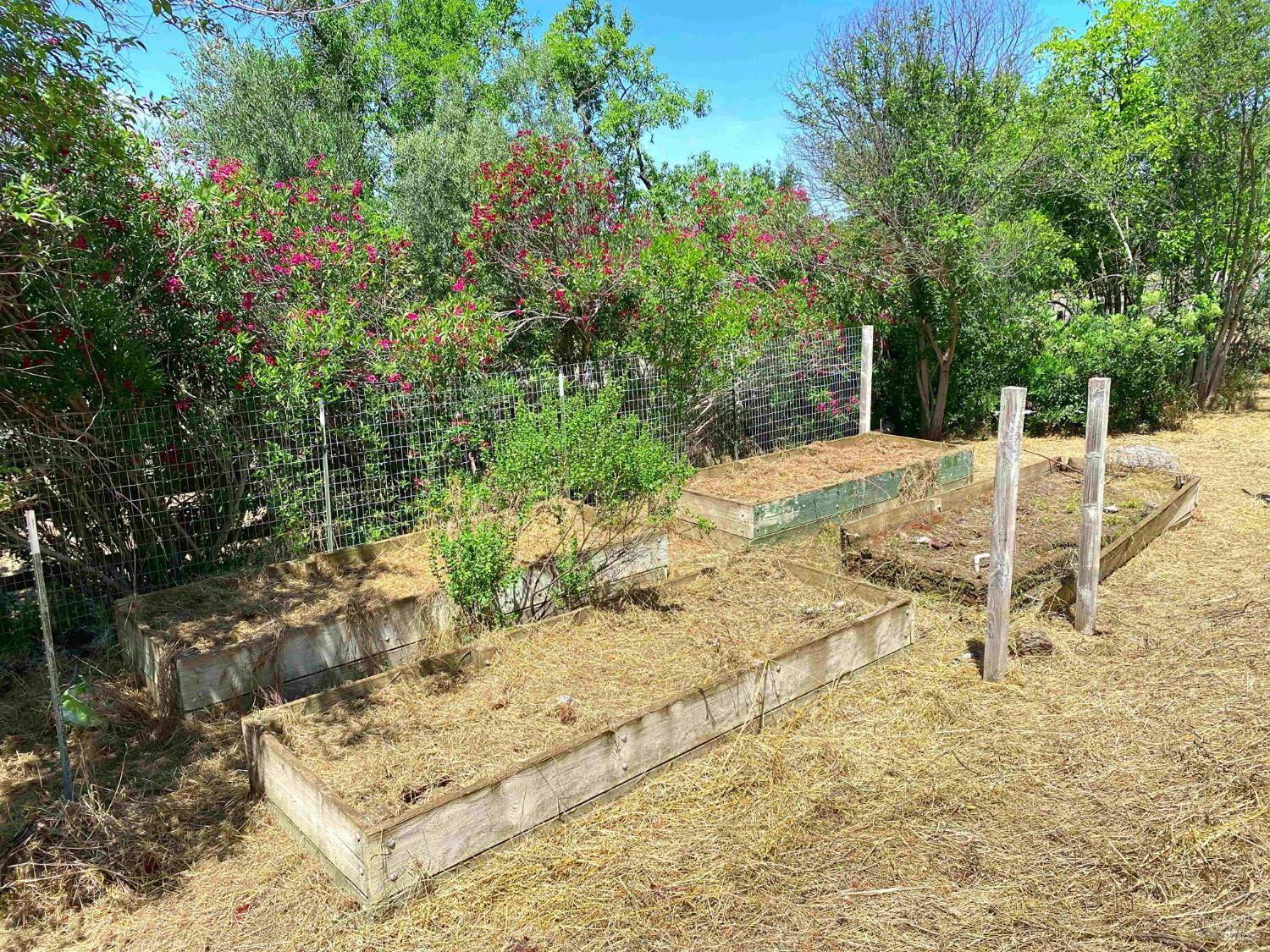 3786 Putah Creek Road Winters CA 95694
