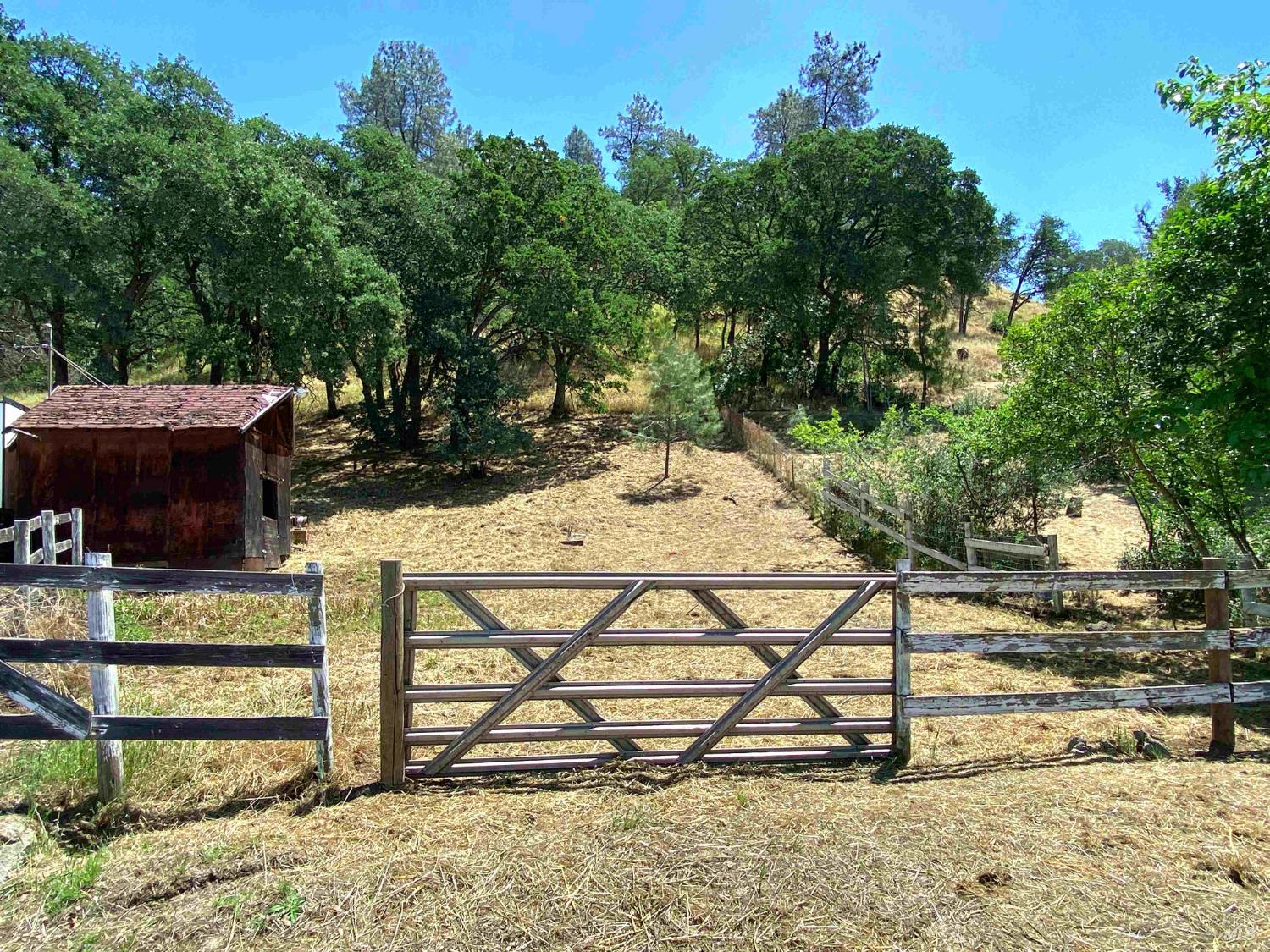 3786 Putah Creek Road Winters CA 95694