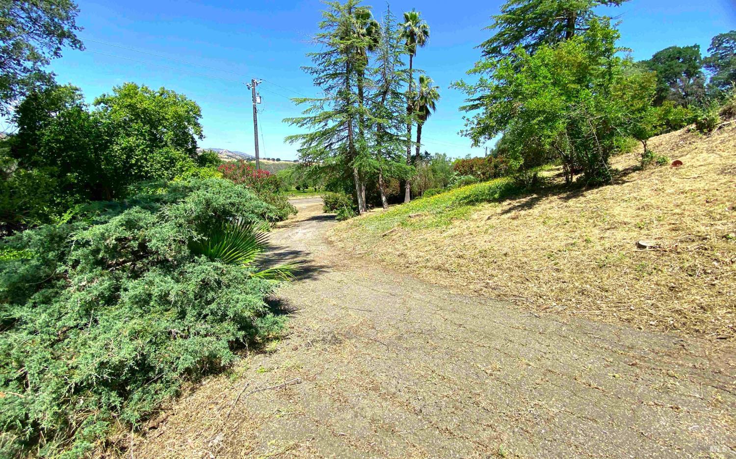 3786 Putah Creek Road Winters CA 95694