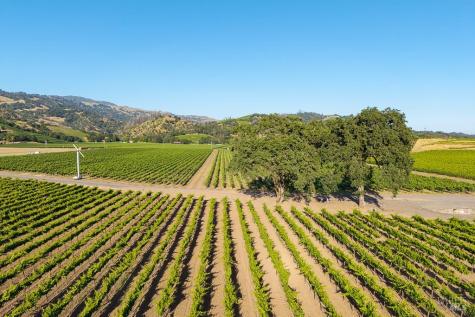 1260 Moody Lane Geyserville CA 95441