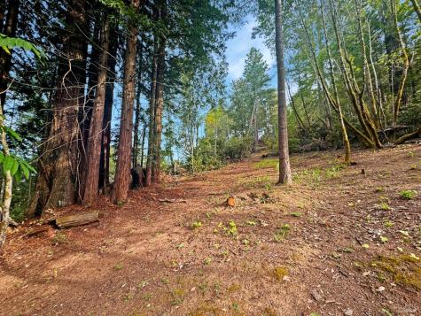 21155 Siri Road Guerneville CA 95446