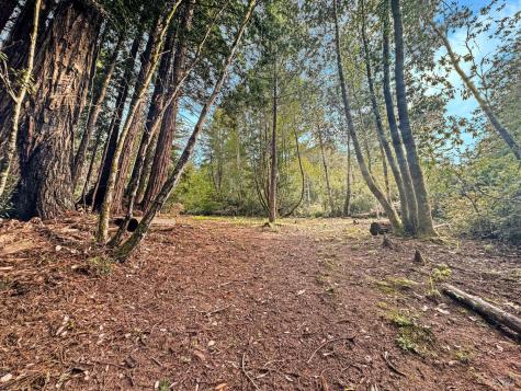 21155 Siri Road Guerneville CA 95446