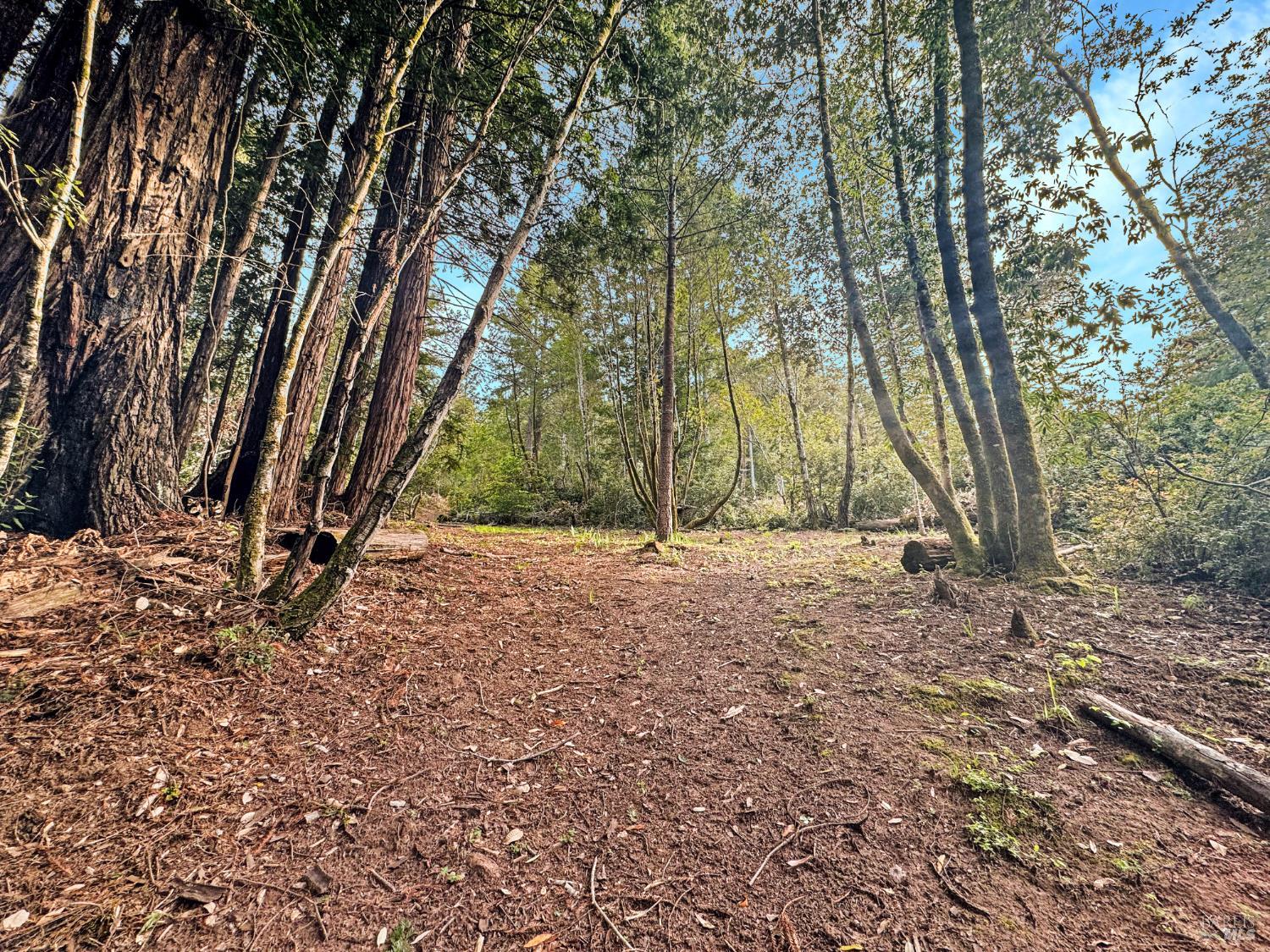 21155 Siri Road Guerneville CA 95446