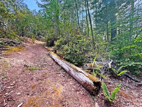 21155 Siri Road Guerneville CA 95446