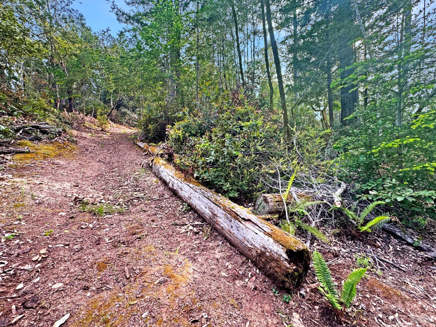 21155 Siri Road Guerneville CA 95446
