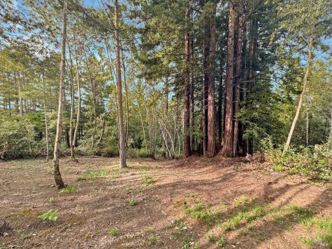 21155 Siri Road Guerneville CA 95446