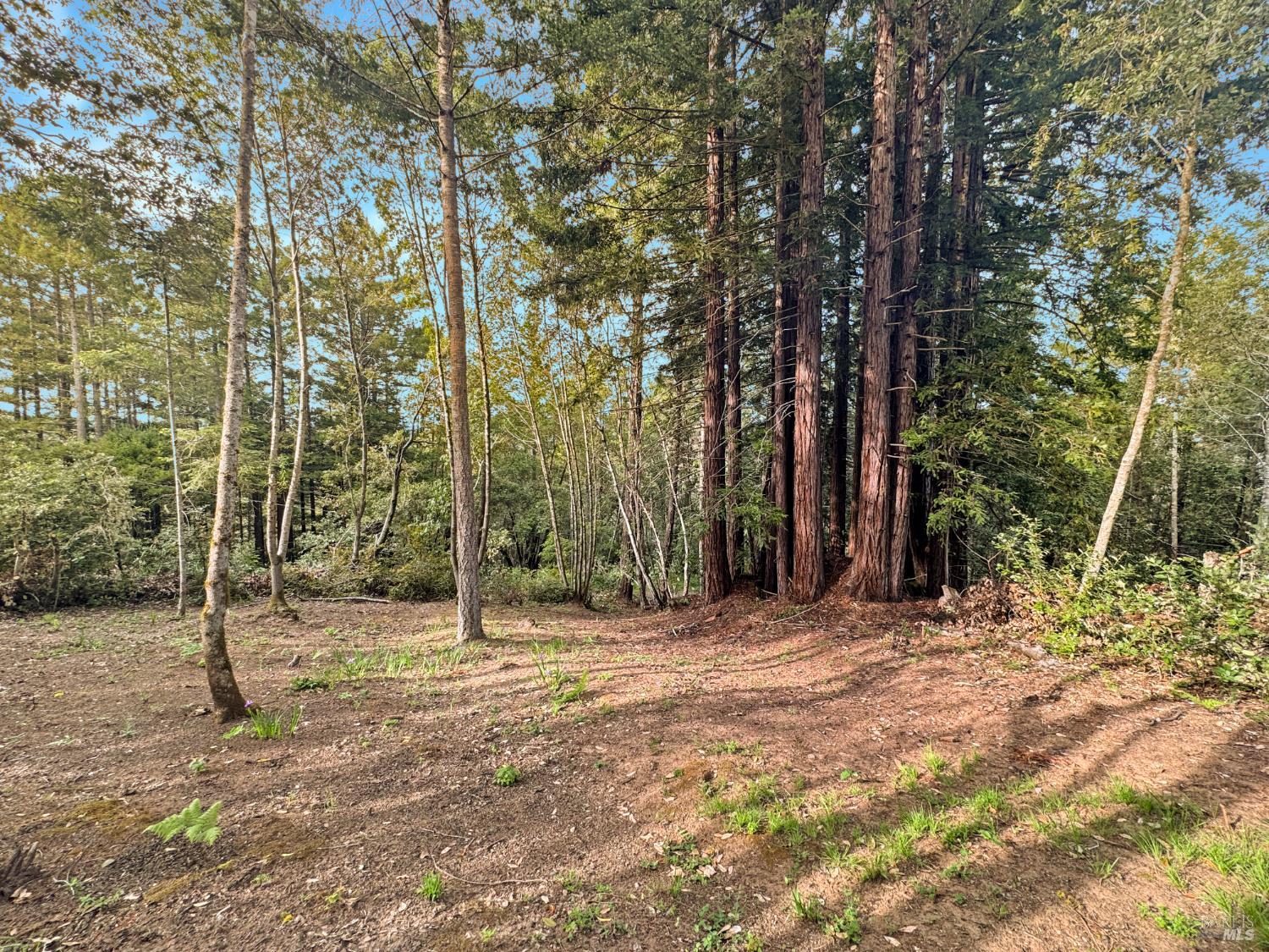 21155 Siri Road Guerneville CA 95446