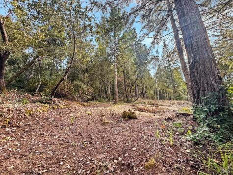 21155 Siri Road Guerneville CA 95446