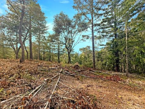 21155 Siri Road Guerneville CA 95446