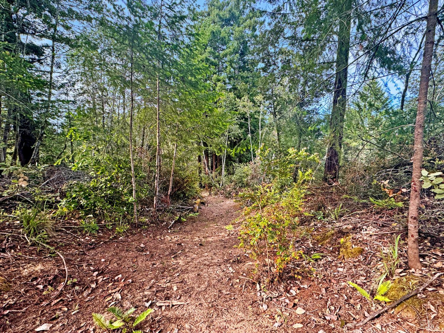 21155 Siri Road Guerneville CA 95446