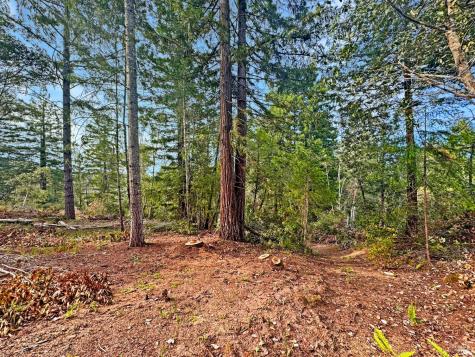 21155 Siri Road Guerneville CA 95446