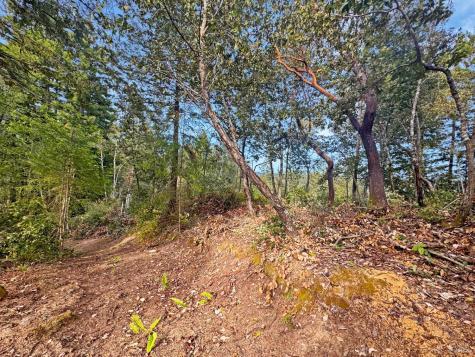 21155 Siri Road Guerneville CA 95446