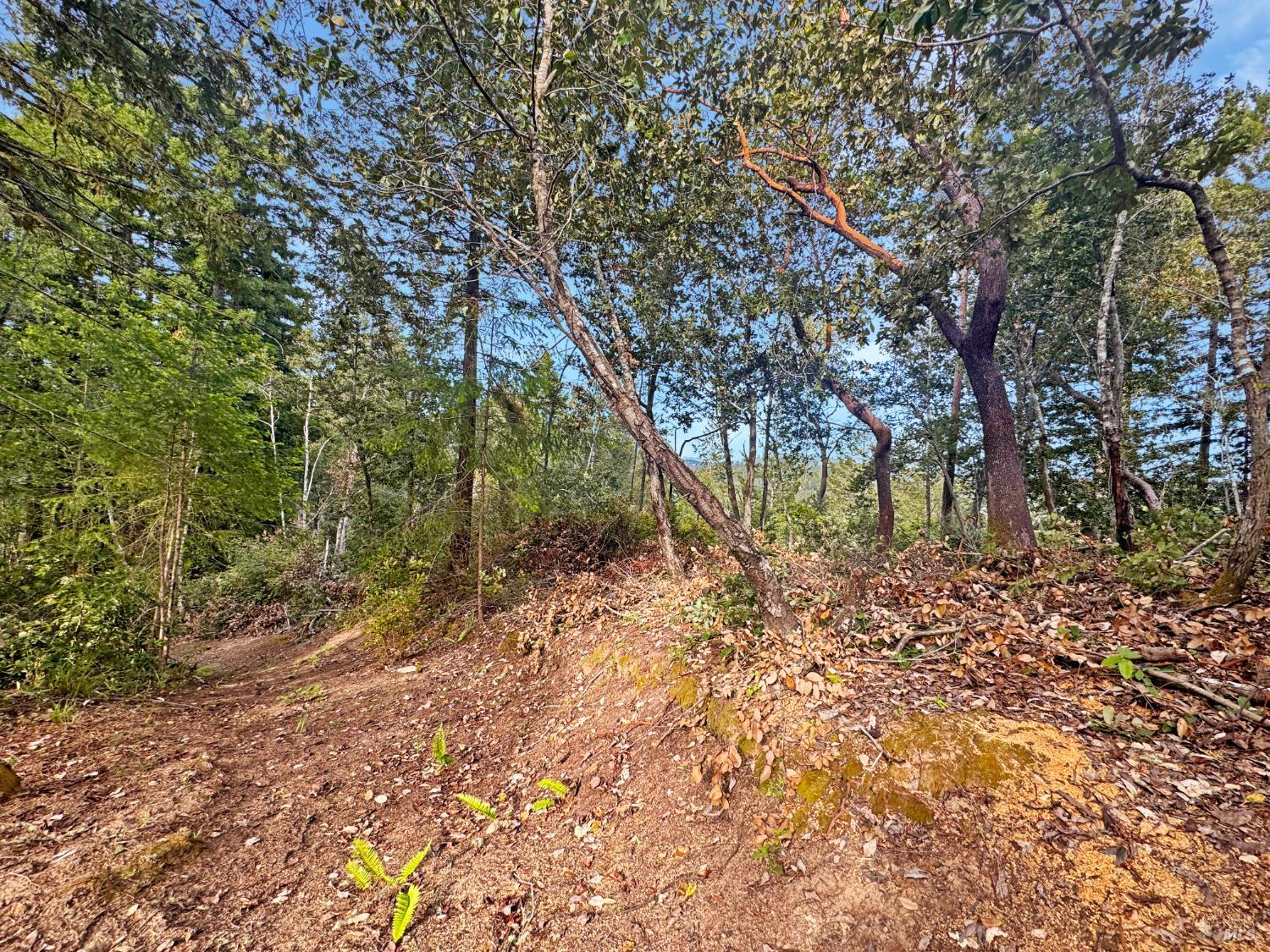 21155 Siri Road Guerneville CA 95446