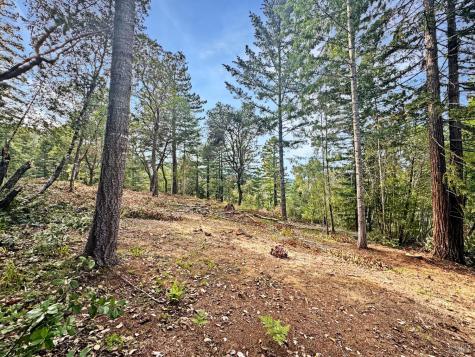 21155 Siri Road Guerneville CA 95446