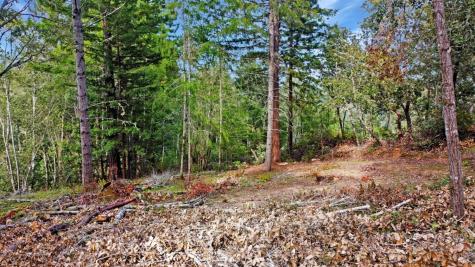 21155 Siri Road Guerneville CA 95446