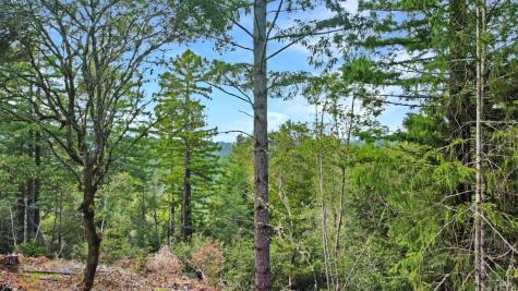 21155 Siri Road Guerneville CA 95446