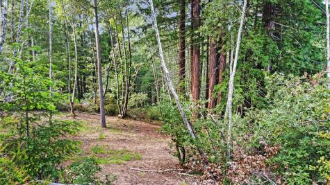 21155 Siri Road Guerneville CA 95446