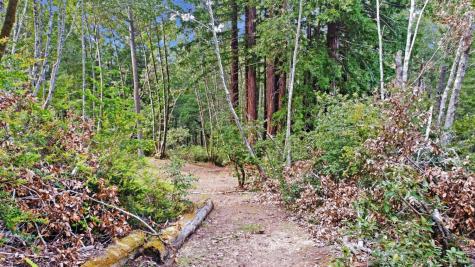 21155 Siri Road Guerneville CA 95446