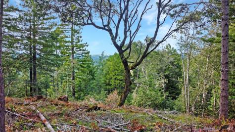 21155 Siri Road Guerneville CA 95446
