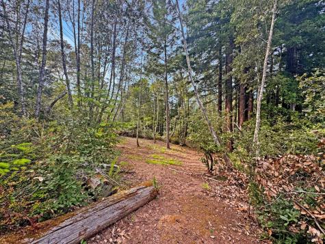 21155 Siri Road Guerneville CA 95446