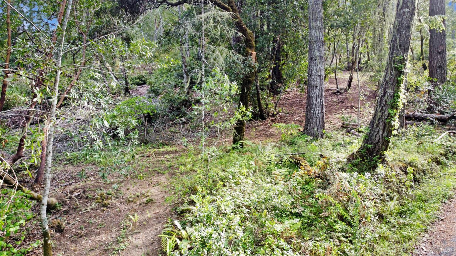 21155 Siri Road Guerneville CA 95446