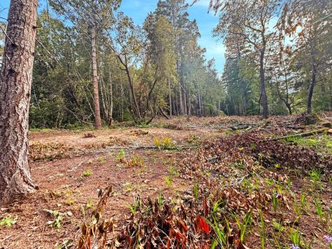 21155 Siri Road Guerneville CA 95446