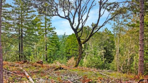 21155 Siri Road Guerneville CA 95446