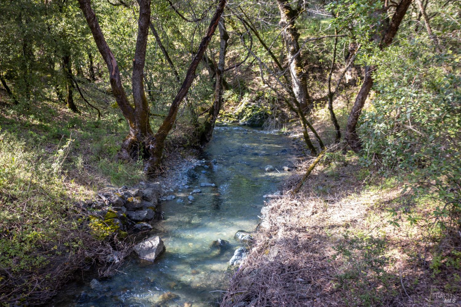 10301 E Highway 20 Road Potter Valley CA 95469