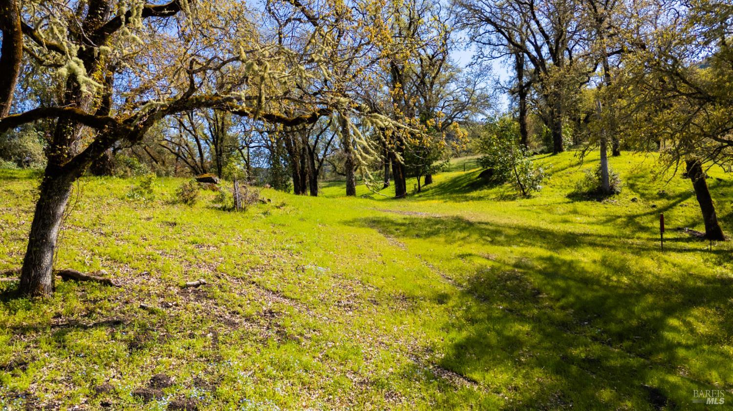 10301 E Highway 20 Road Potter Valley CA 95469
