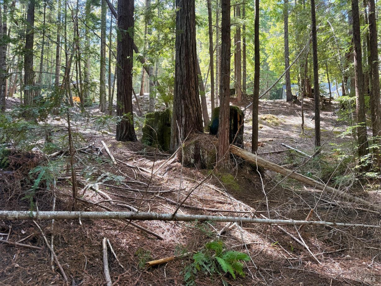 2421 Otter Lane Willits CA 95490