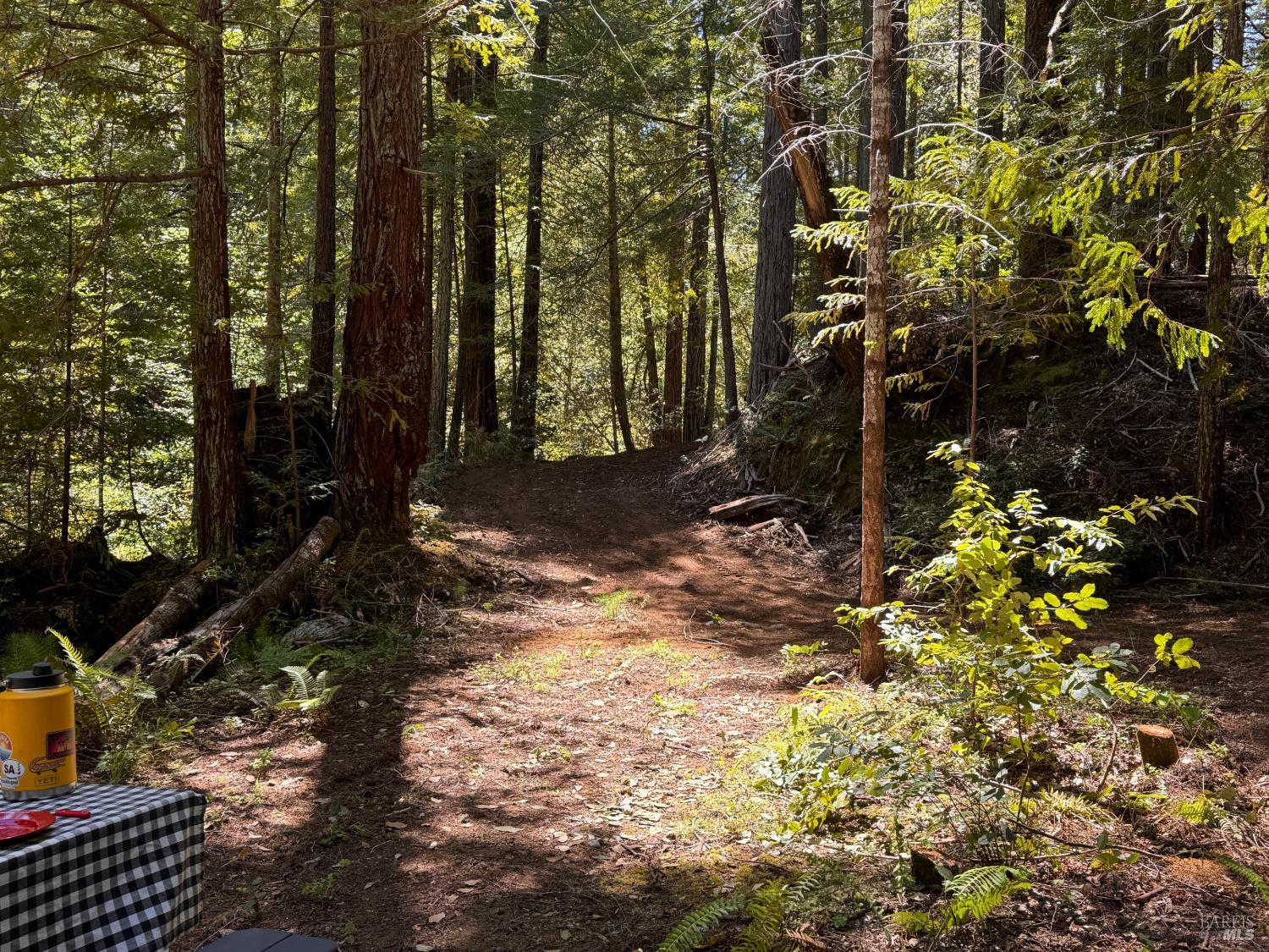 21530 Fort Ross Road Cazadero CA 95421