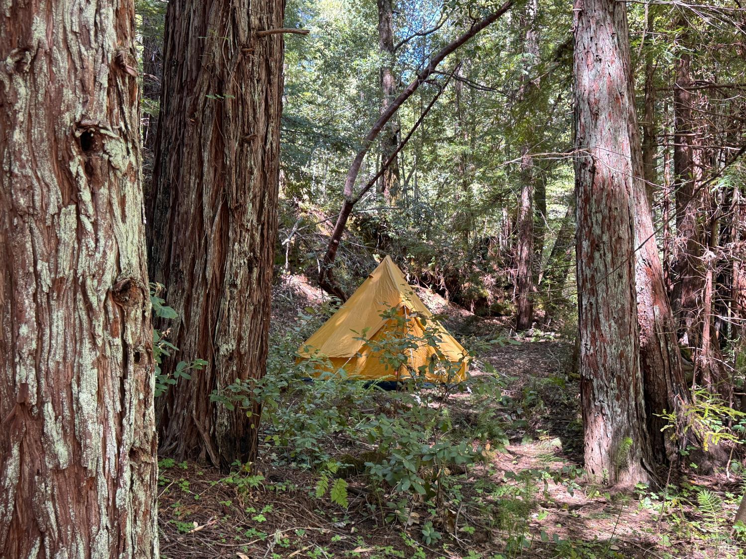 21530 Fort Ross Road Cazadero CA 95421