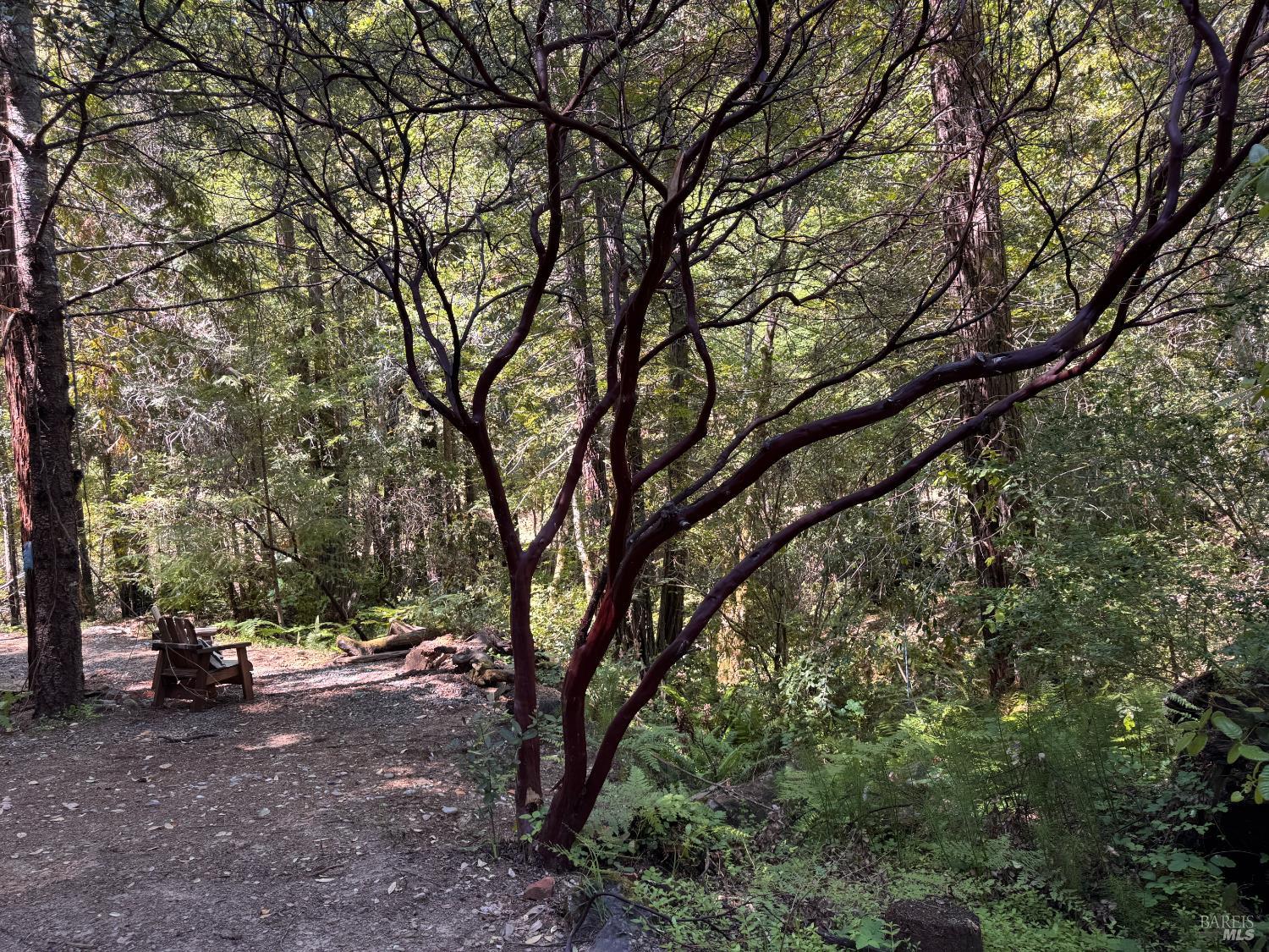 21530 Fort Ross Road Cazadero CA 95421