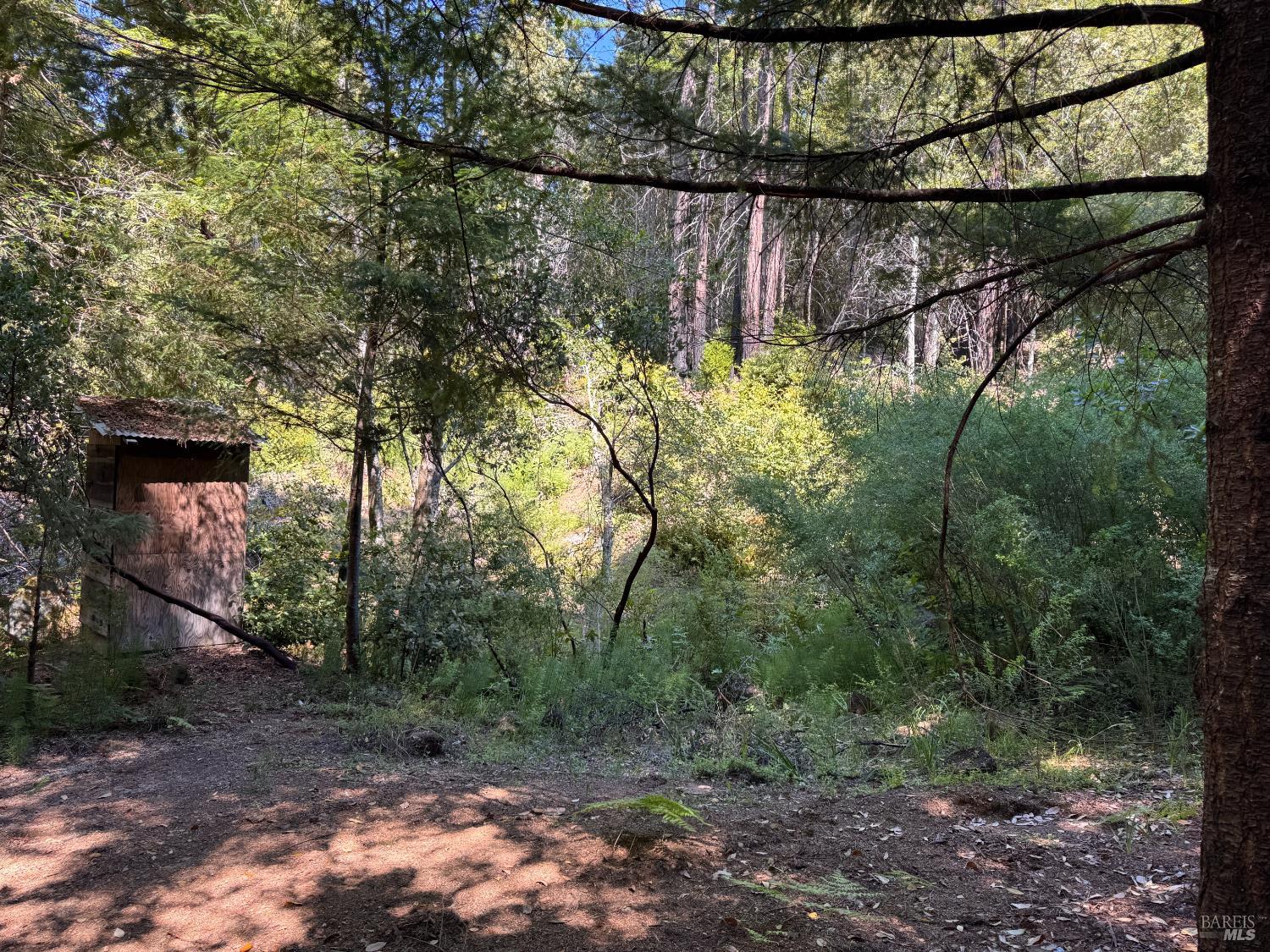 21530 Fort Ross Road Cazadero CA 95421