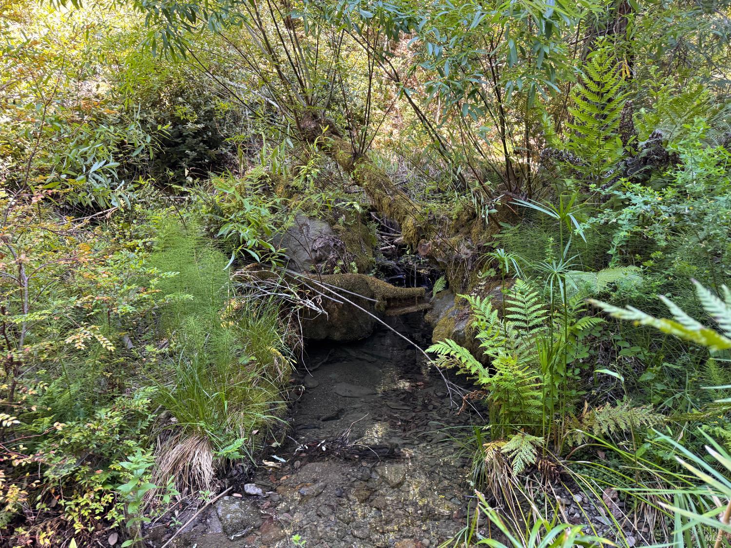 21530 Fort Ross Road Cazadero CA 95421