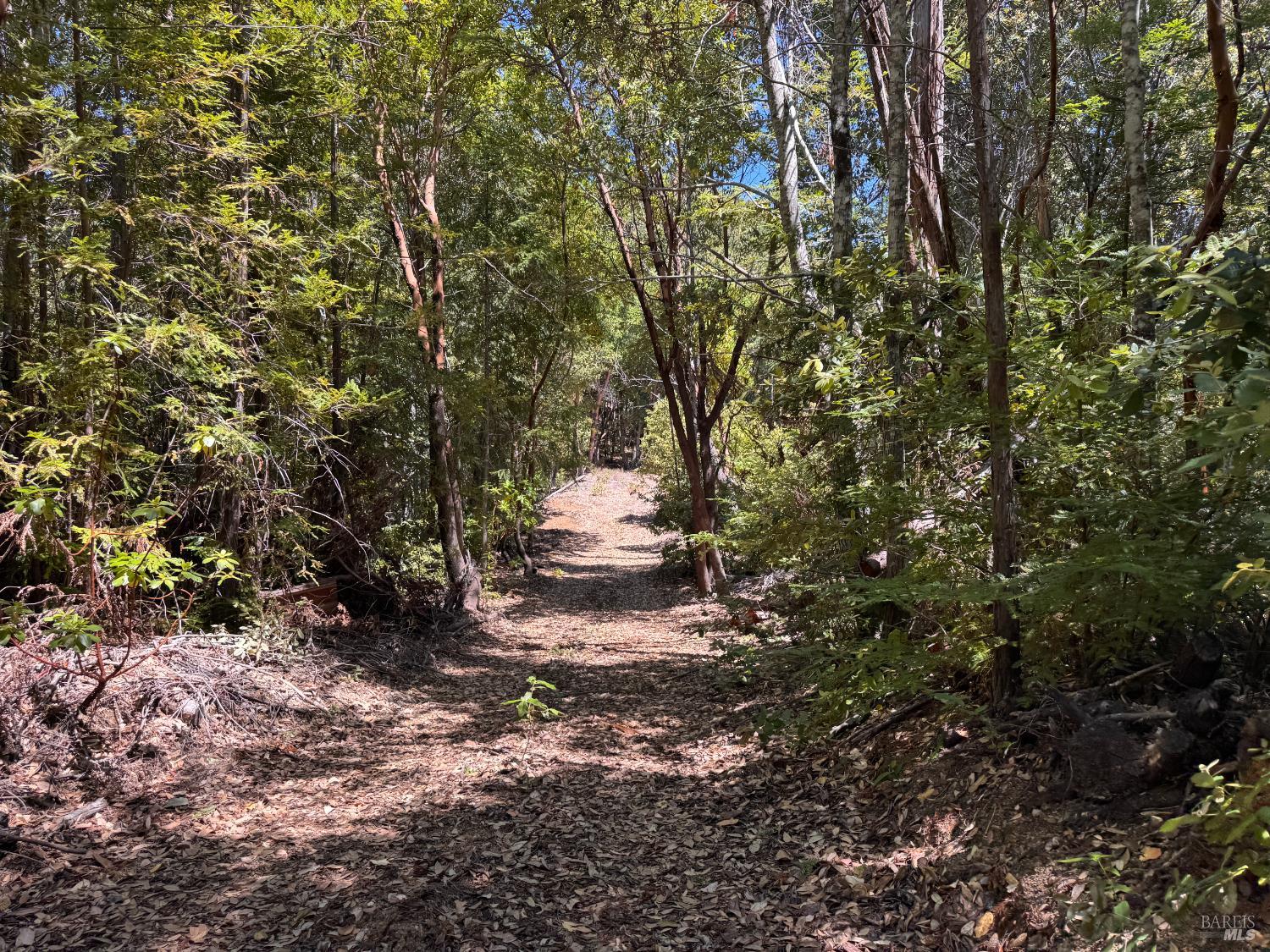 21530 Fort Ross Road Cazadero CA 95421
