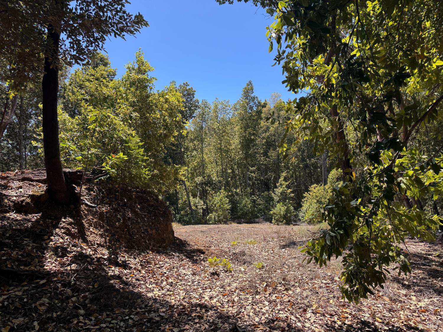 21530 Fort Ross Road Cazadero CA 95421
