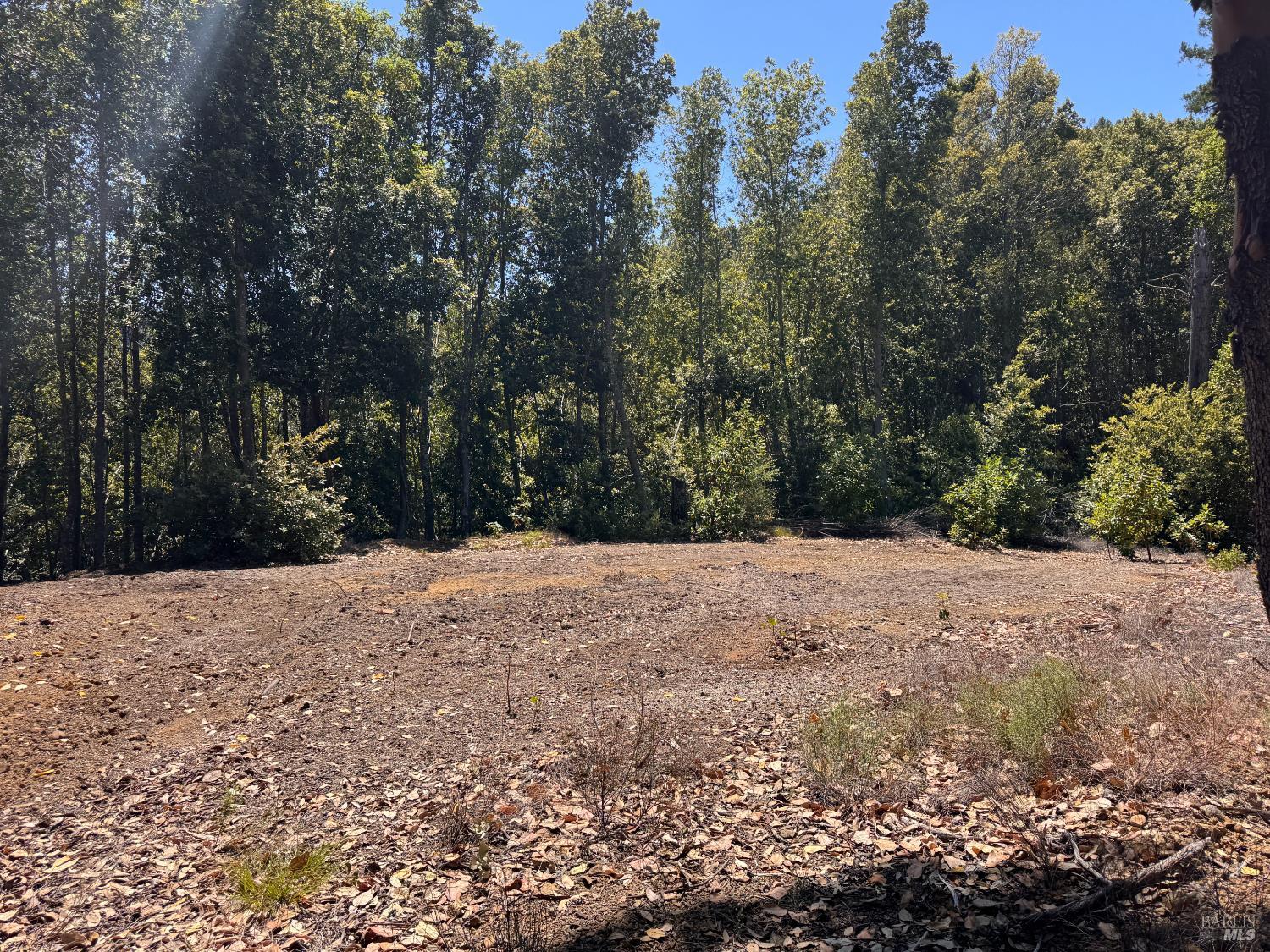 21530 Fort Ross Road Cazadero CA 95421